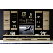 Living Fever 1 stejar